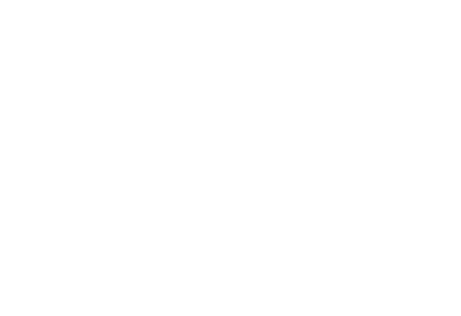 Phenix studio